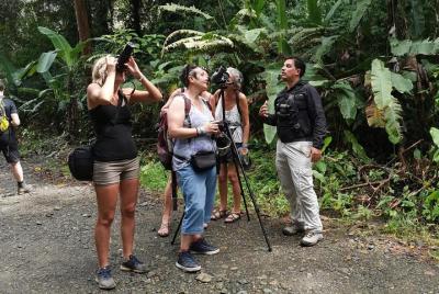 Buscando animales en el Parque Nacional Manuel Antonio