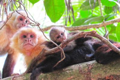 Caminata por los manglares