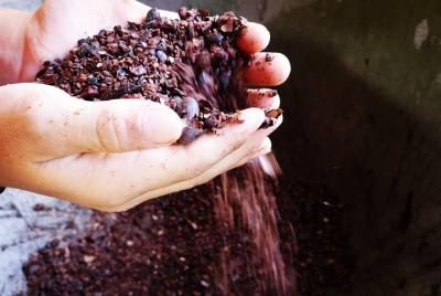 Tour de chocolate y café Manuel Antonio