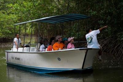 Recorrido en barco por el manglar de Damas desde Manuel Antonio