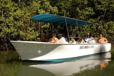 Excursión en barco por el manglar de Damas