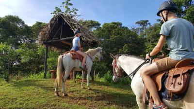 Espectacular Cabalgata en la Selva