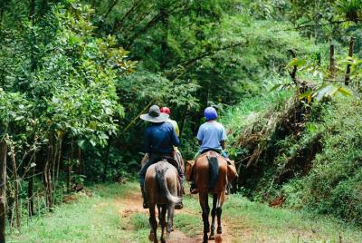 Cabalgatas y Cascadas de Manuel Antonio