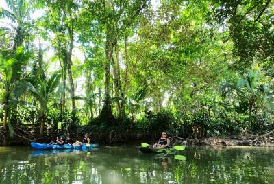 Kayak Monkey Mangrove en Nacarcosta