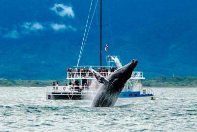Ecoaventura en catamarán con todo incluido desde Manuel Antonio