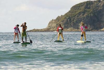 Tabla de paddle surf Manuel Antonio