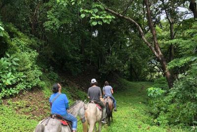 Aventura en la selva y la montaña