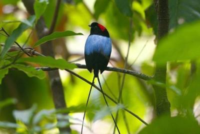 Caminata por la naturaleza