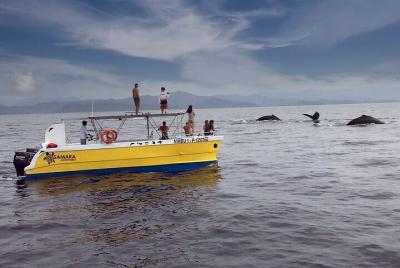 Playa Samara Catamarán Seafari 2 en 1