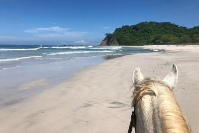 Safari y playa de Barigona a caballo.