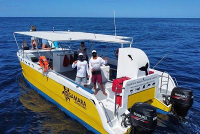 Tour de snorkel en Playa Samara Sea Quest