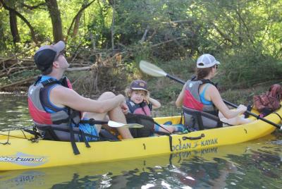 Recorrido en kayak de vida silvestre y manglares Río Ora