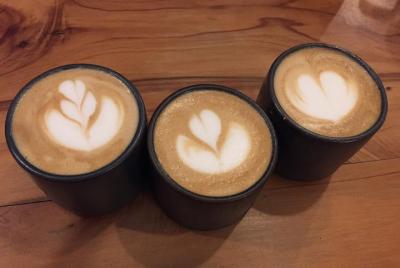 Taller y degustación de cafés especiales costarricenses