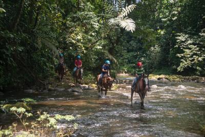 Experiencia de cabalgata en el bosque de Sarapiquí en Costa Rica