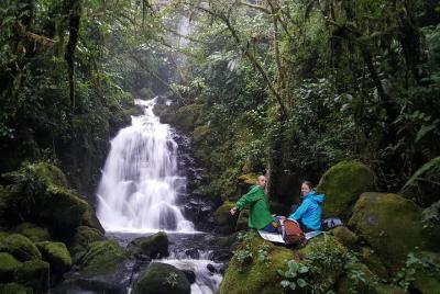 Camina por un bosque recuperado para encontrar una increíble casc