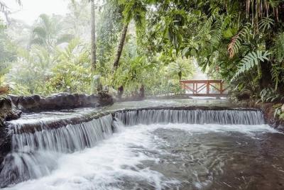 4 días Arenal Volcano Tabacon Resort- Tortuguero - Monteverde - M
