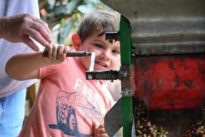 Coffee Tour Los Sauces