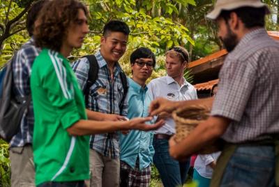 Descubre todo sobre el proceso y elaboración del Café en un coffe