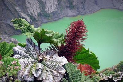 Excursión de un día al volcán Irazú desde San José