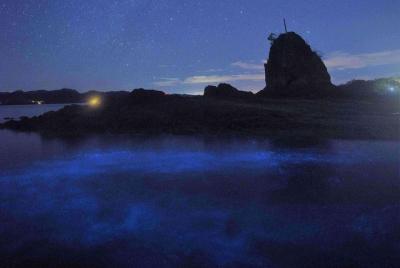 Kayak Bioluminiscente