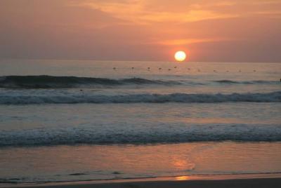 Surf y aventura en Santa teresa
