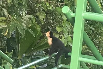Tour Cerro Tortuguero ( Aaron Tour Tour Cerro Tortuguero ( Aaron Tour's )