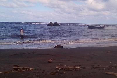 Tour en Canoa - Canales Del Tortuguero. ( Aaron Tour's )