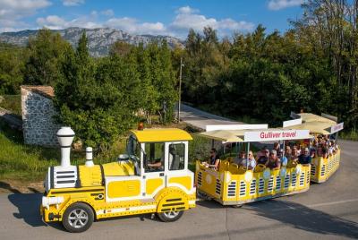 Recorrido vinícola por el valle Konavle desde Dubrovnik con paseo