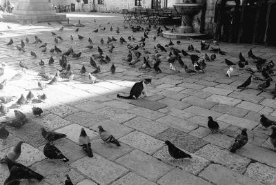 Tour privado por la mañana temprano en Dubrovnik