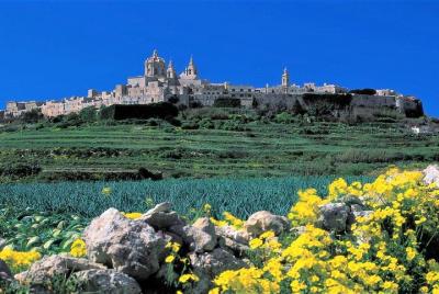Mdina, Rabat, acantilados de Dingli, jardines de San Antón, visit