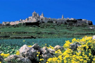 Visita guiada a Mdina, los acantilados de Dingli y los jardines d