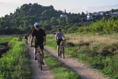 Tour de medio día en bicicleta en Lumbarda con degustación de vin