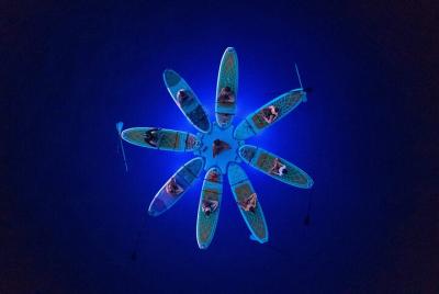 SUP YOGA Clases de brillo nocturno en la playa de Ambrela, Pula