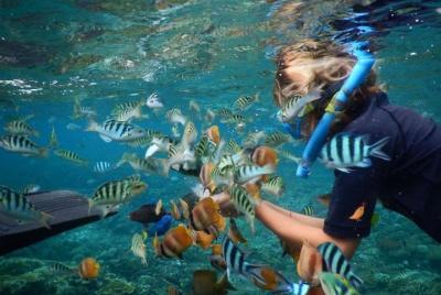 Increíble tour y 4 lugares de snorkel en Nusa Penida Increíble tour y 4 lugares de snorkel en Nusa Penida