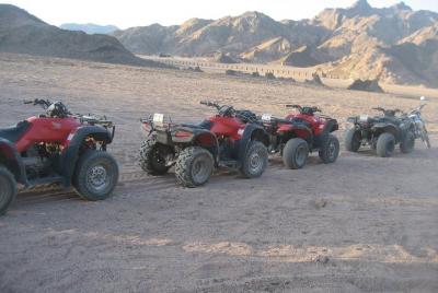 Paseo en camello + Snorkel en el Blue Hole + Tour en quad en bici