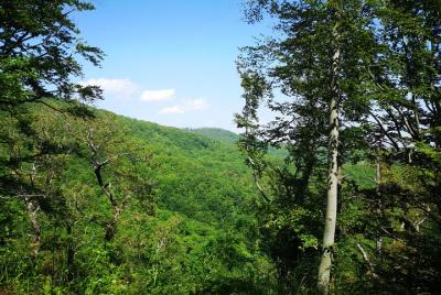 Percibir Zagreb como un local - Medvednica Parque Natural Senderi