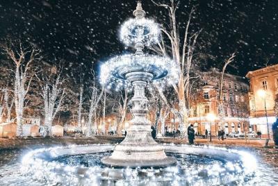 Tour gastronómico del mercado navideño de Zagreb