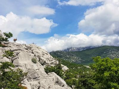 Excursión a la Planinarenje-Klek