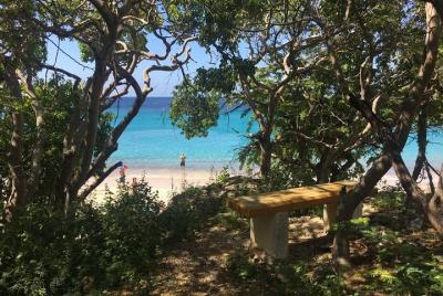 TOUR PRIVADO POR LA PLAYA ¡El tour más relajado de Curazao!