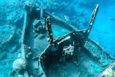 Aventura de snorkel y remolcador de tortugas