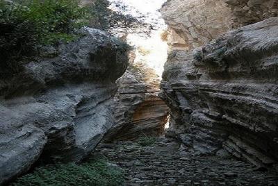 Excursión de un día en mini bus a Akamas desde Paphos