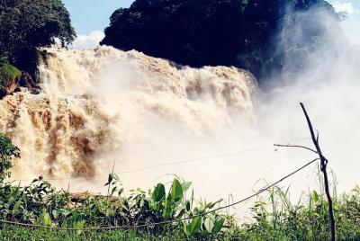 4 días de experiencia en las cataratas de Zongo, Bonobos y Kinsha