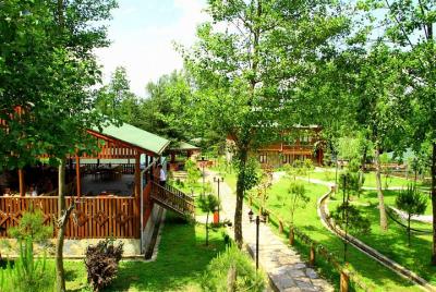 Excursión al zoológico Sapanca Masukiye con almuerzo