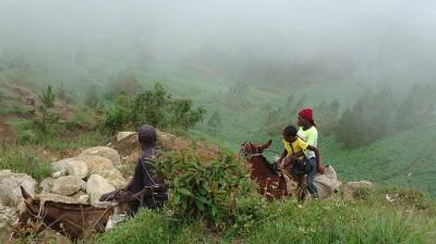 Cloud Forest Mountain - Observación de aves y senderos botánicos