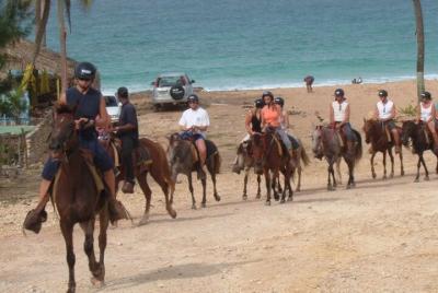 Increíble paseo a caballo de 3 horas en Puerto Plata con recogida