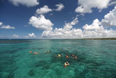 Catalina Snorkel de Juan Dolio Catalina Snorkel de Juan Dolio