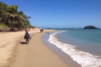 Puerto Plata: cabalgata de medio día en la playa