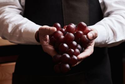 Amantes del queso y del vino Amantes del queso y del vino