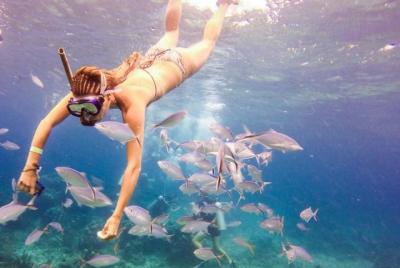 Isla Catalina & Snorkeling Paradise Desde Punta Cana