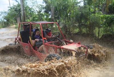 Aventura en buggy platino Aventura en buggy platino